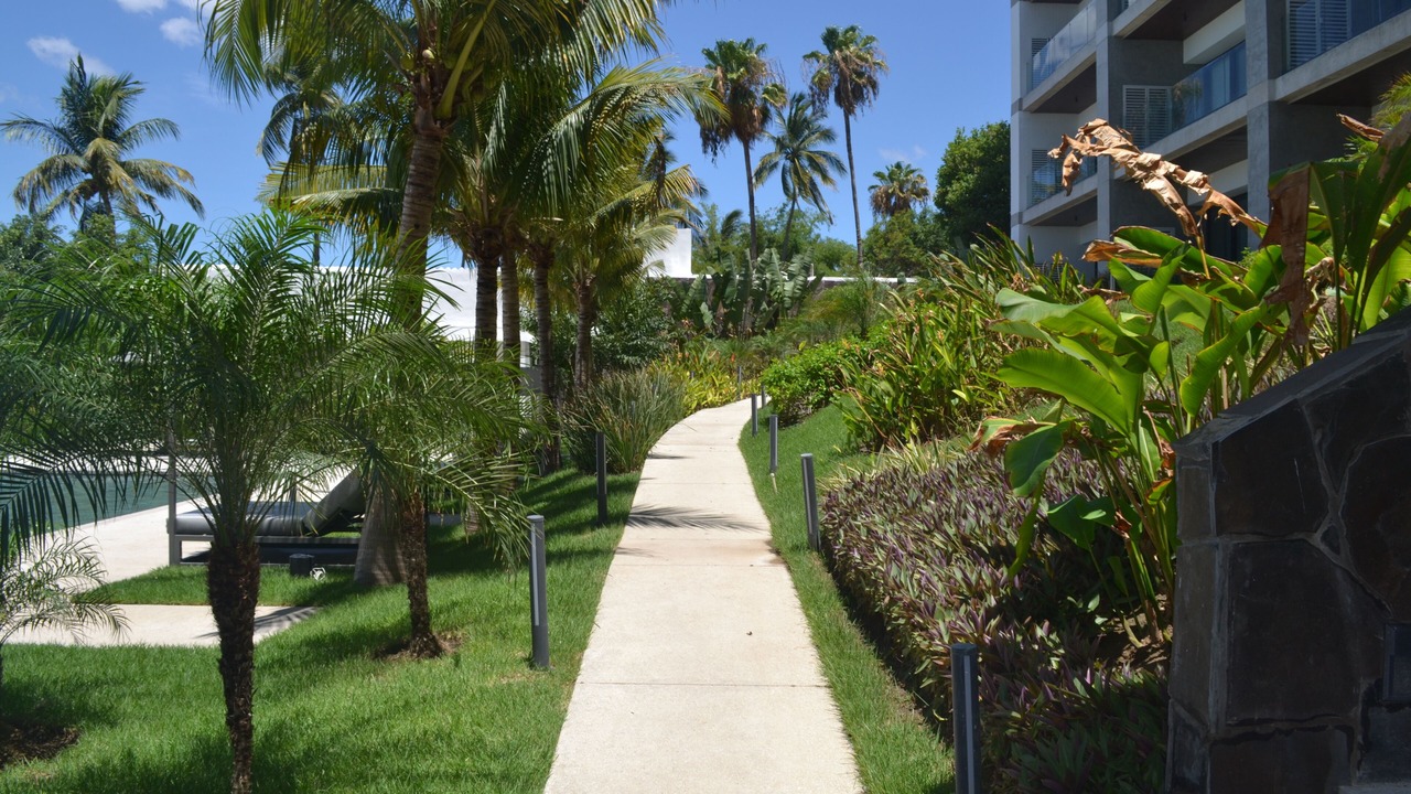 Photo of Outdoor in Bucerias
