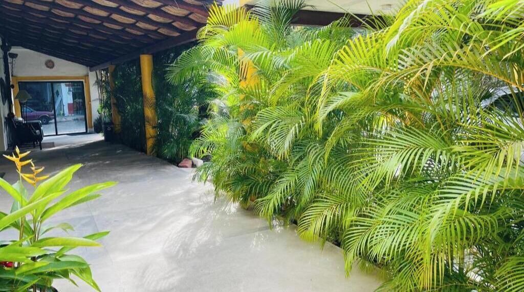 Photo of Outdoor in Puerto Vallarta