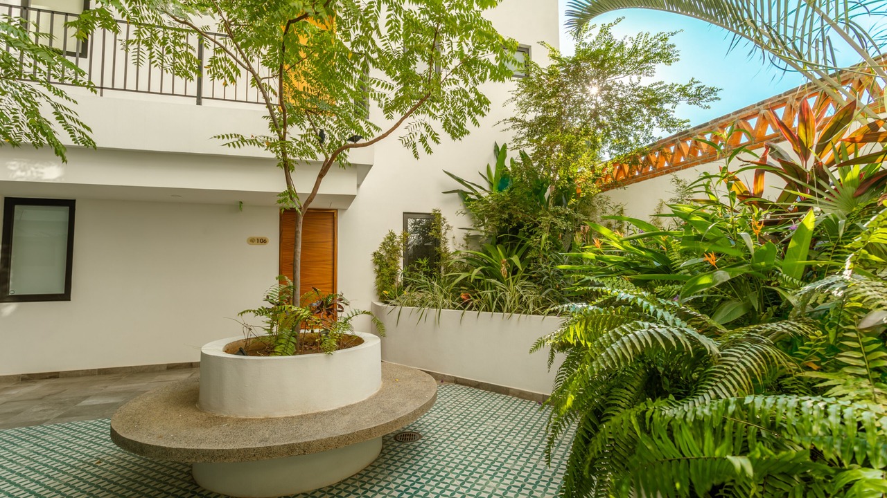 Photo of Others in Puerto Vallarta