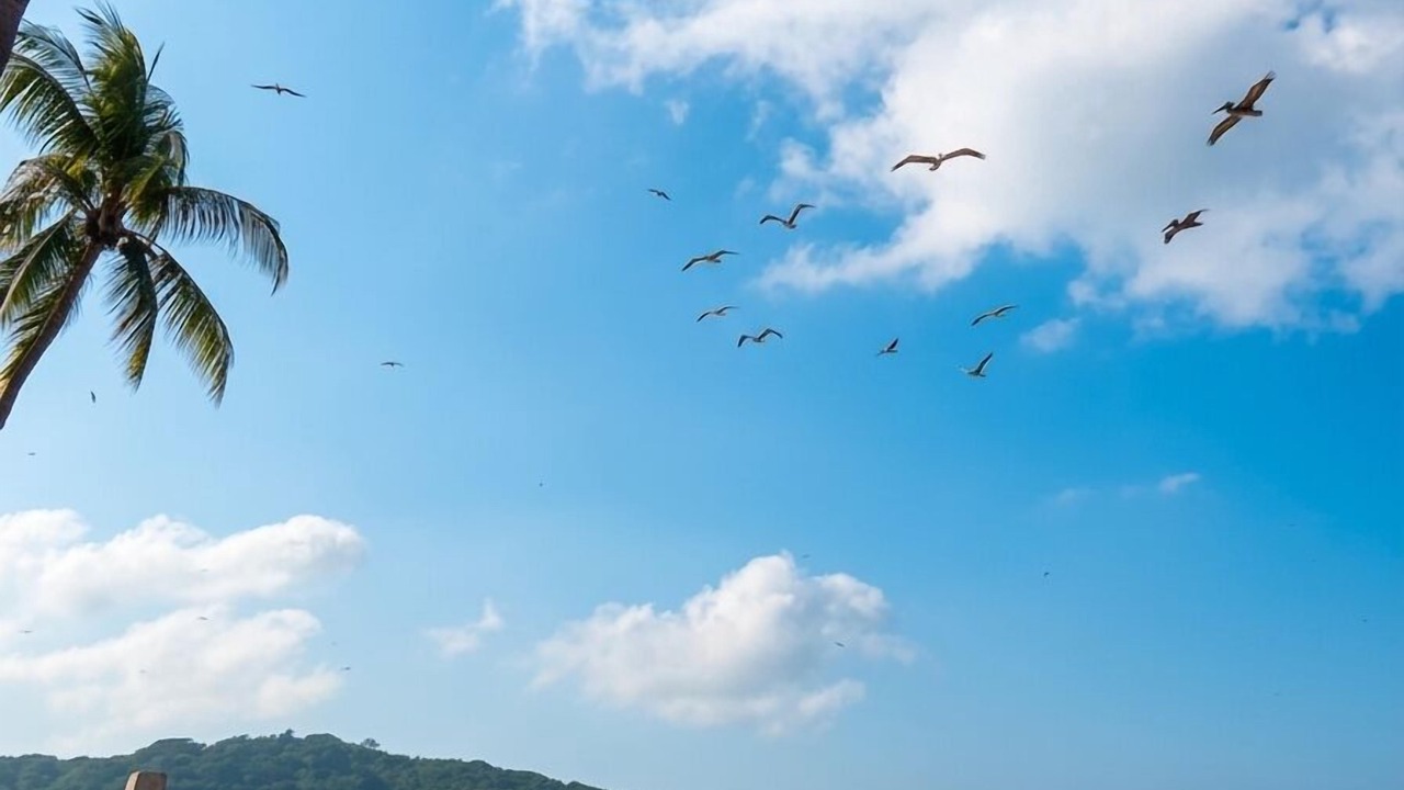 Photo of Others in Rincon de Guayabitos