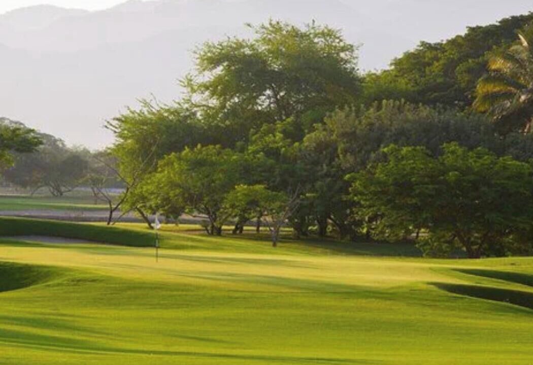 Photo of Others in Nuevo Vallarta