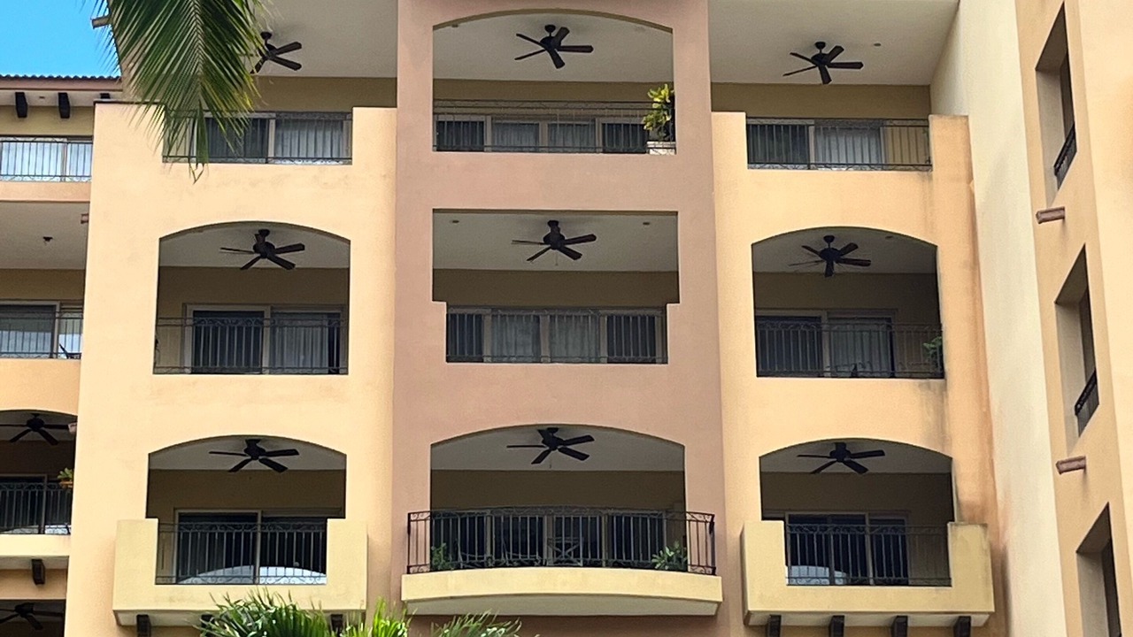 Photo of Outdoor in Flamingos