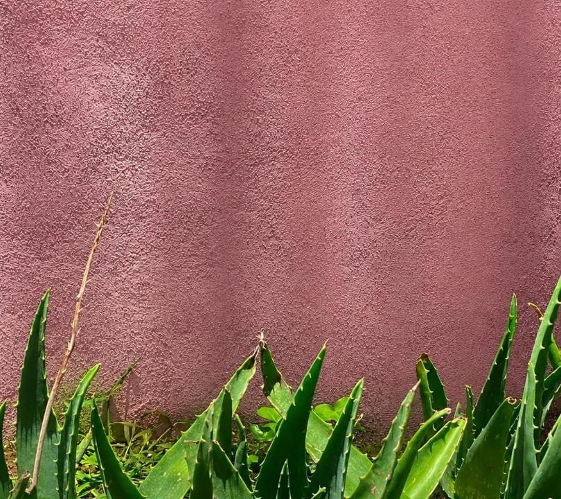 Photo of Others in Patzcuaro