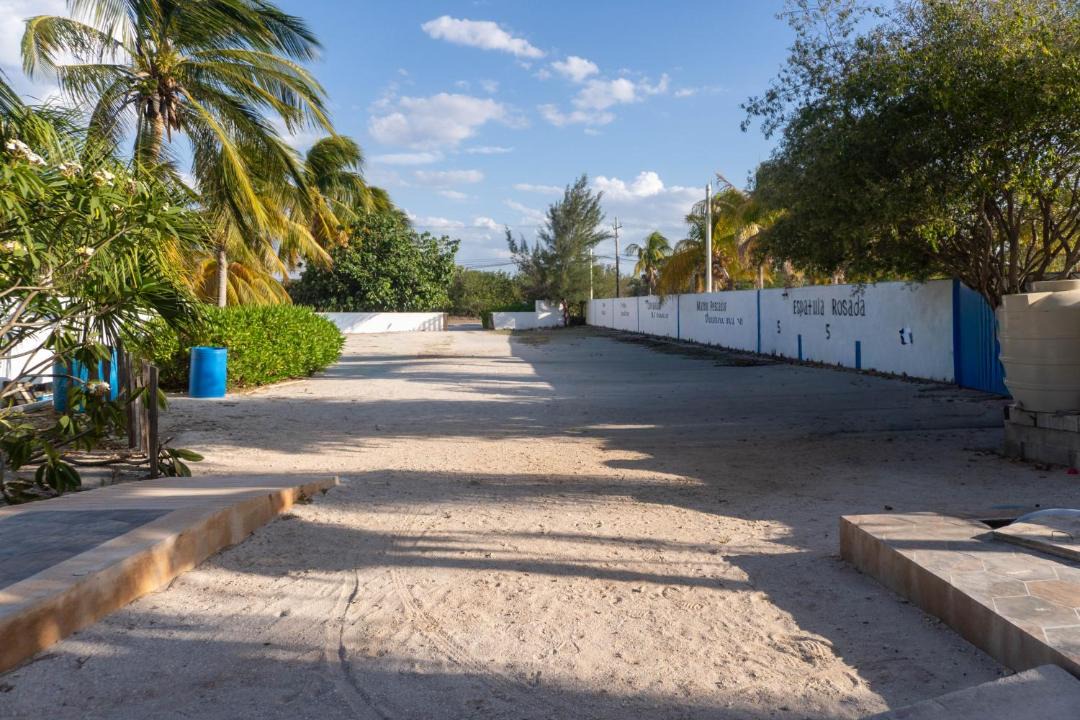 Photo of Others in Chicxulub Puerto
