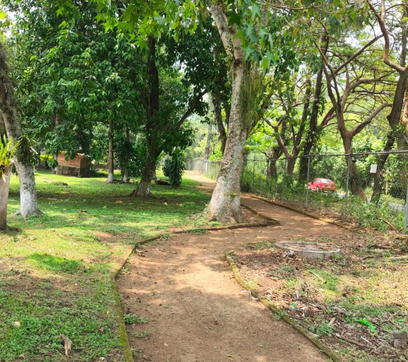 Photo of Others in Coatepec