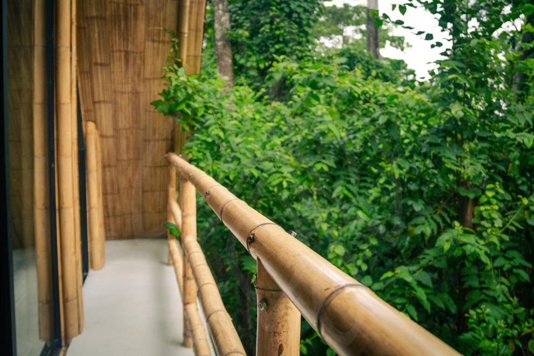 Photo of Others in Palenque