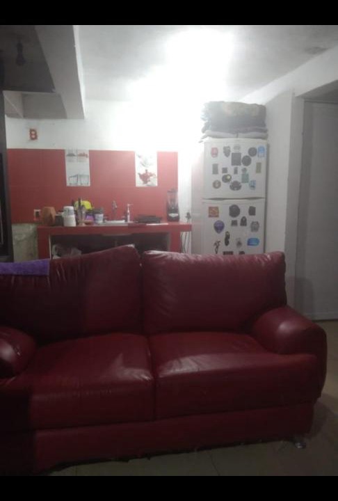 Photo of Livingroom in Coyoacan