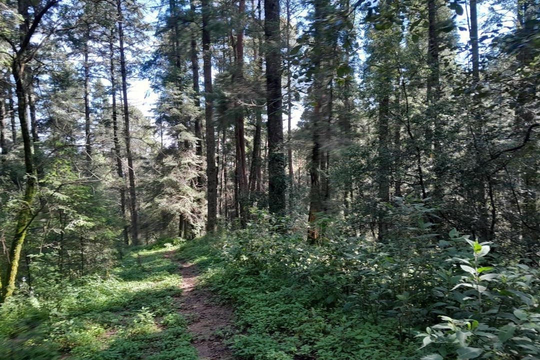 Photo of Others in Mineral del Chico