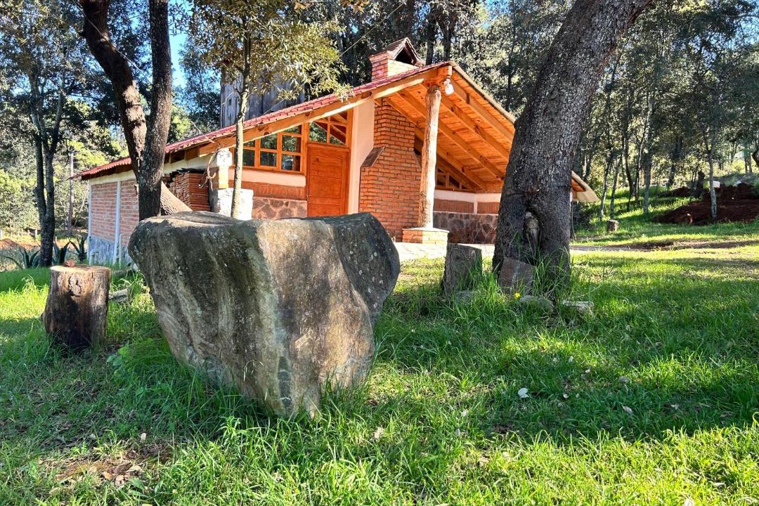 Photo of Others in Huasca De Ocampo