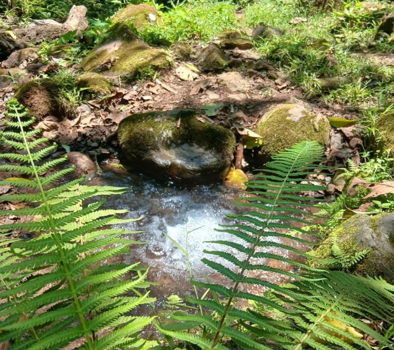 Photo of Outdoor in Catemaco