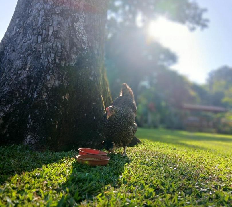 Photo of Others in Catemaco