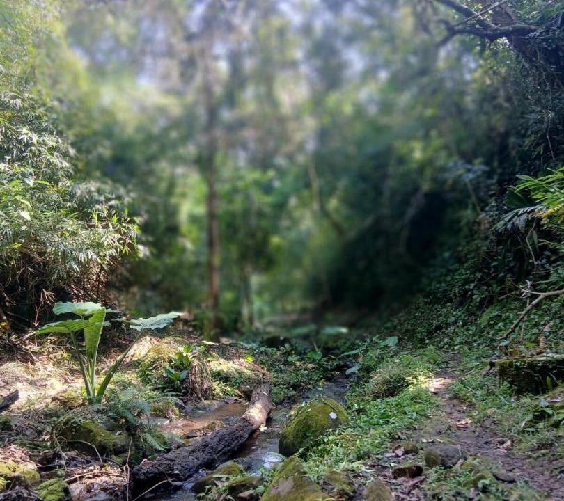 Photo of Others in Catemaco