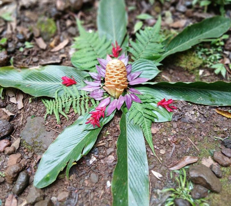 Photo of Outdoor in Catemaco