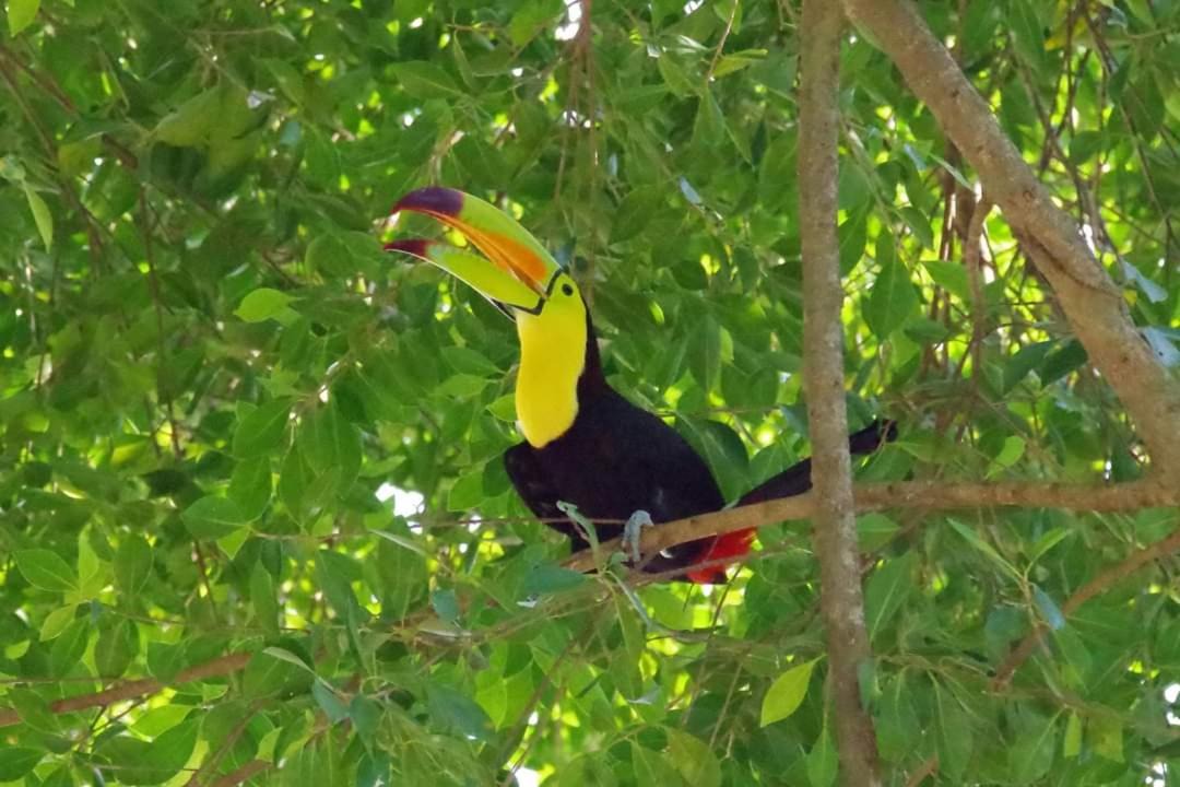 Photo of Others in Catemaco