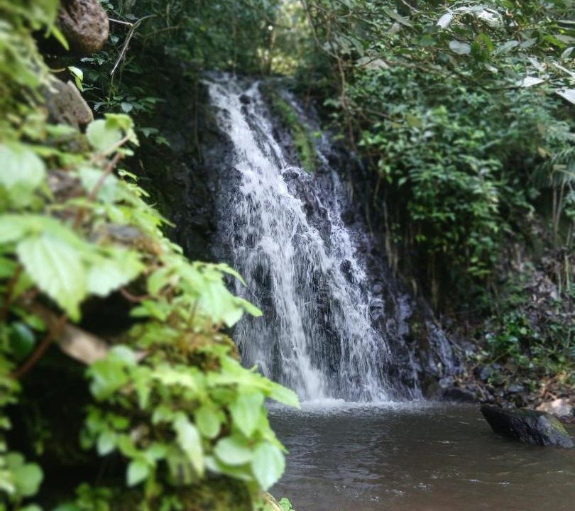 Photo of Others in Catemaco