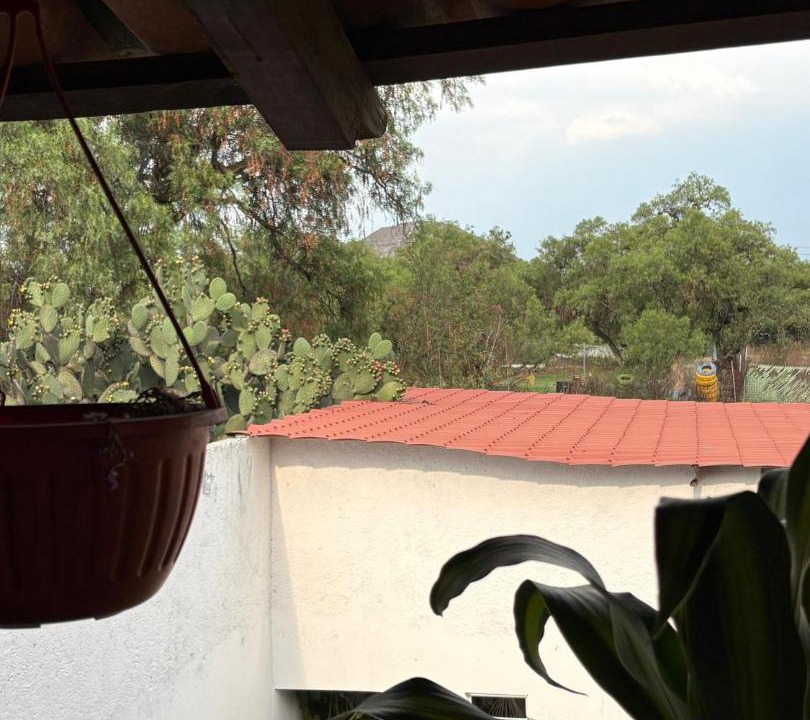 Photo of Others in Teotihuacan
