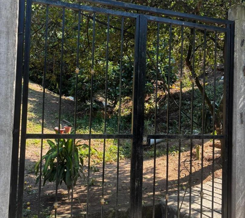 Photo of Others in Yelapa
