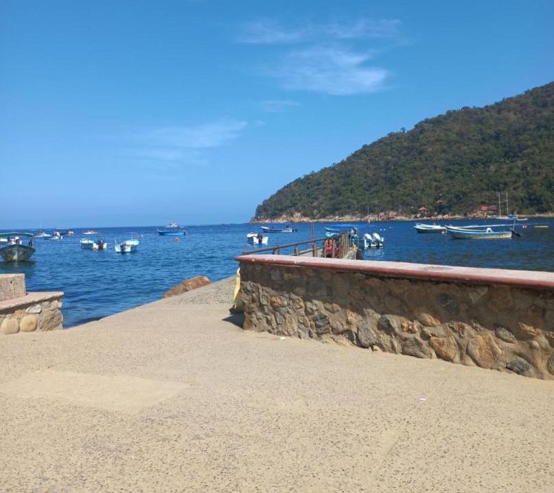 Photo of Others in Yelapa