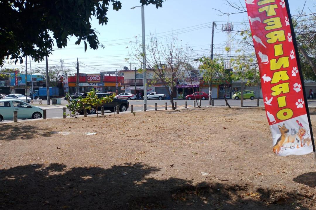 Photo of Outdoor in Veracruz