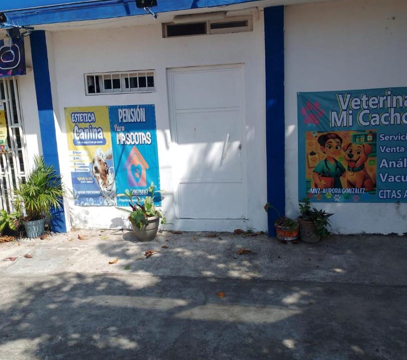 Photo of Others in Veracruz