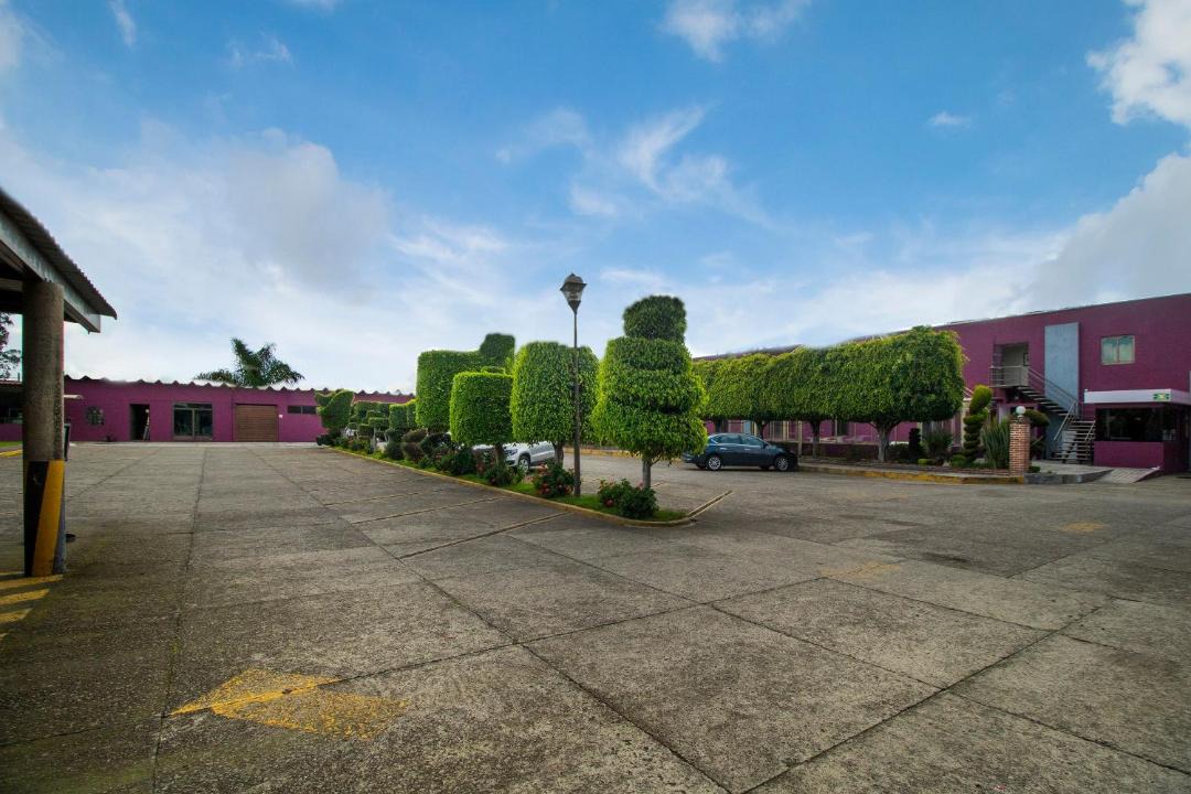 Photo of Others in Cholula