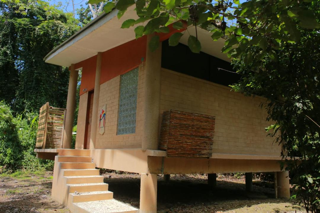 Photo of Others in Nuevo Orizaba