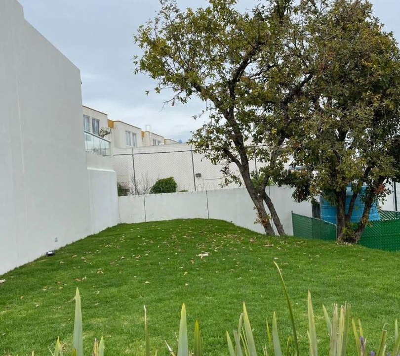 Photo of Others in Puebla