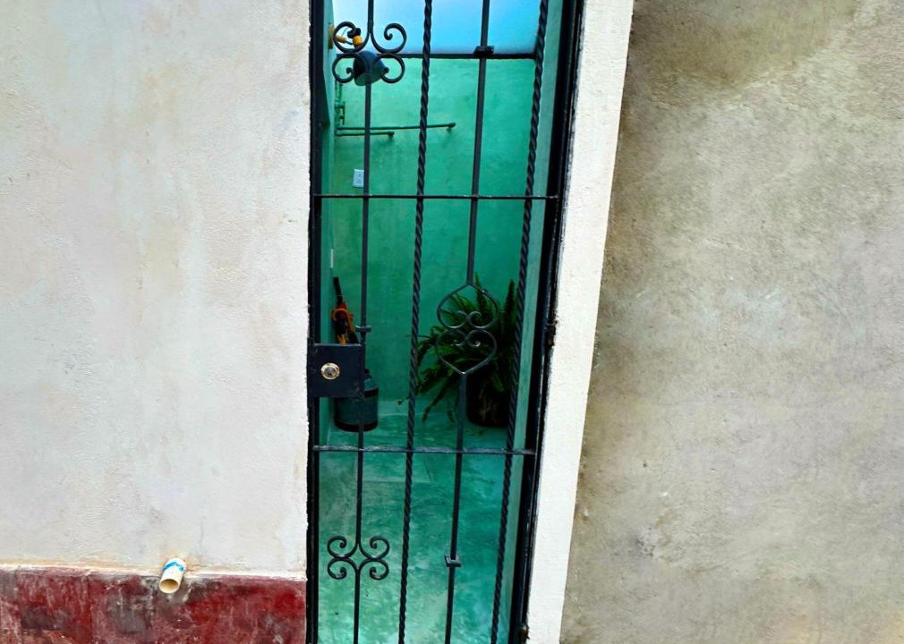 Photo of Others in San Sebastian Xolalpa
