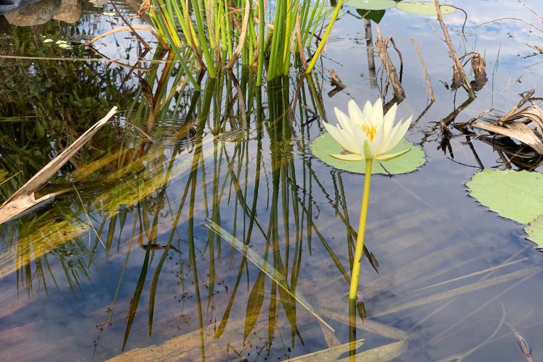Photo of Others in Rio Grande