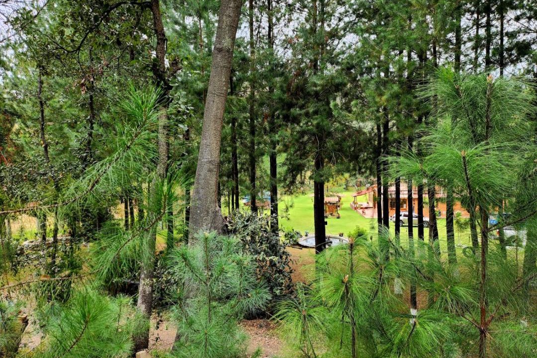 Photo of Others in Villa del Carbon