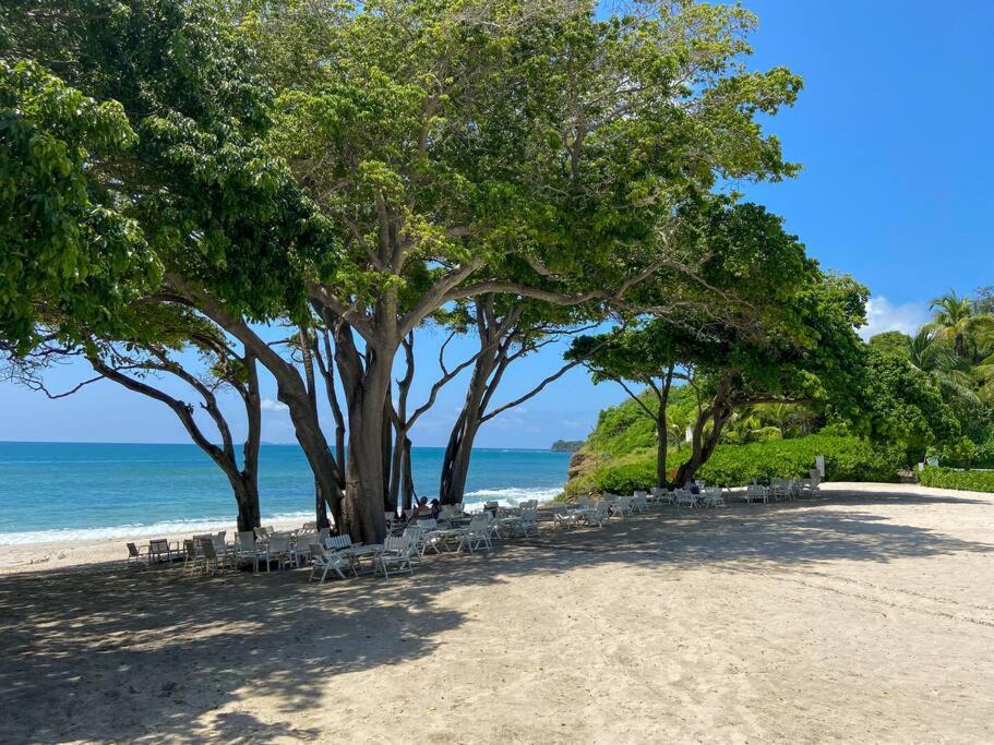 Photo of Others in Punta de Mita