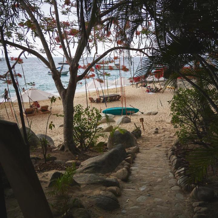 Photo of Others in Puerto Vallarta