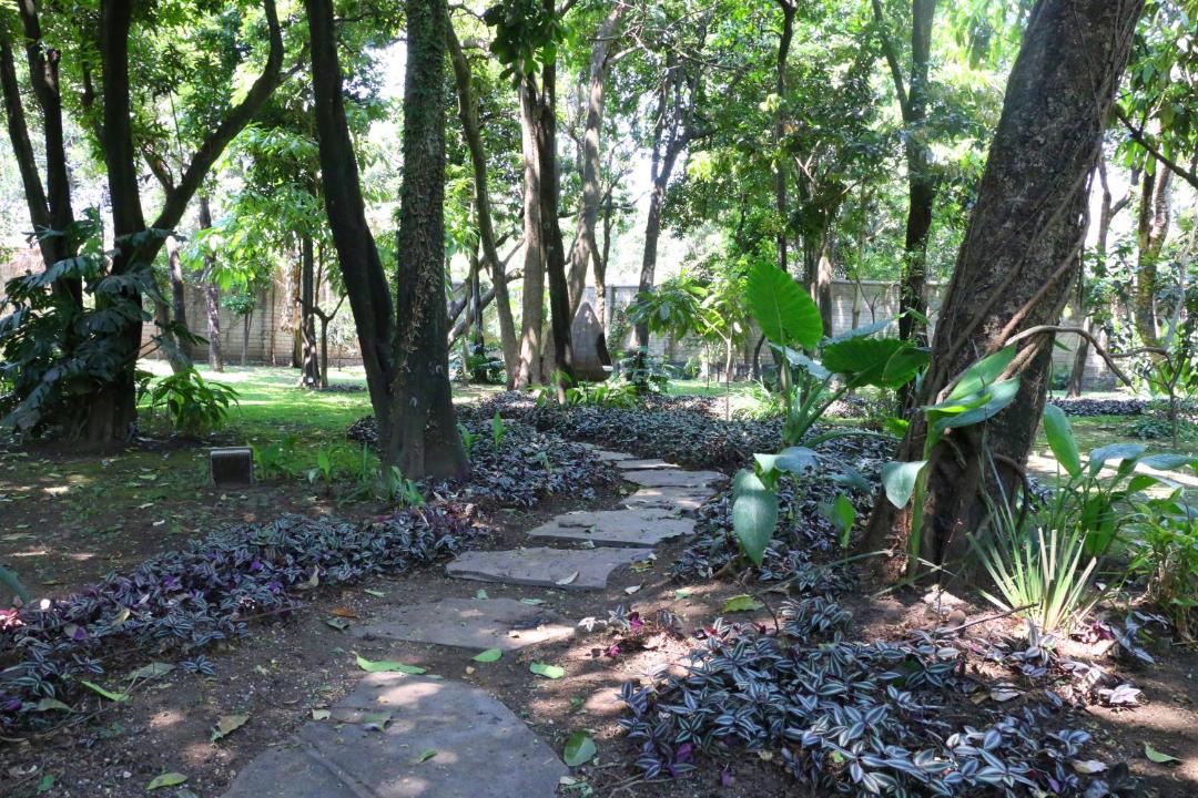 Photo of Others in Malinalco
