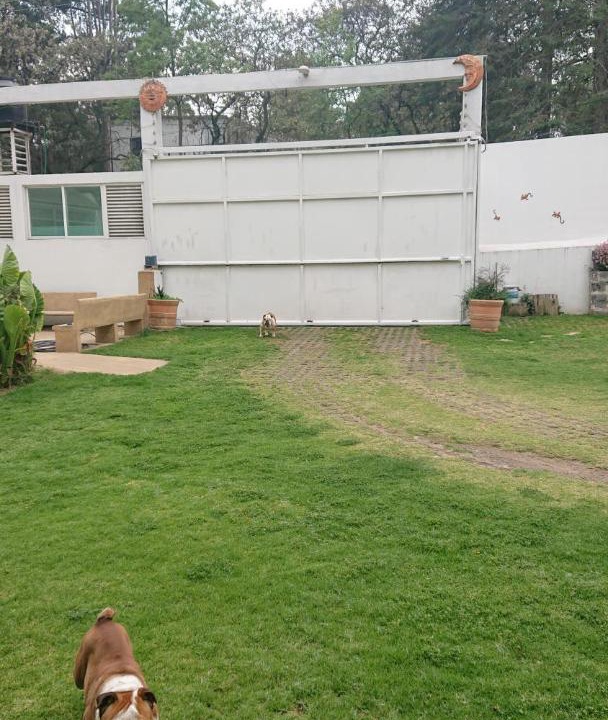 Photo of Others in Xochimilco
