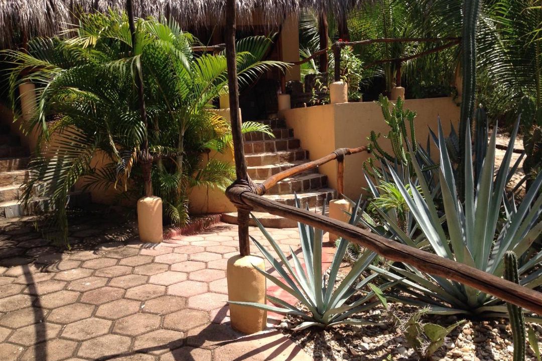 Photo of Others in San Agustinillo
