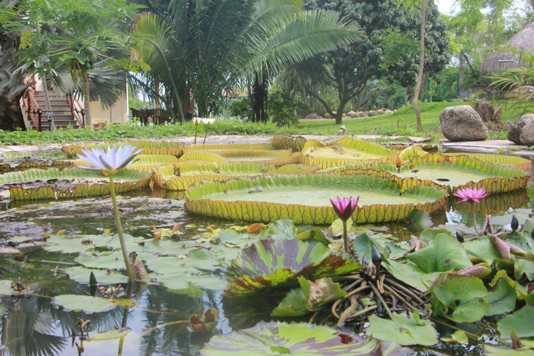 Photo of Others in Lo de Marcos