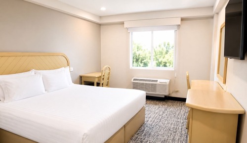 Standard Room, 1 King Bed