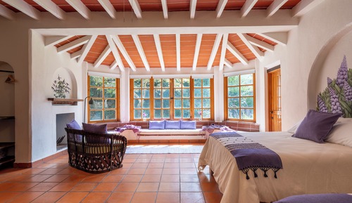 Suite Lavanda