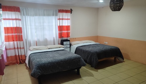 Basic Double Room