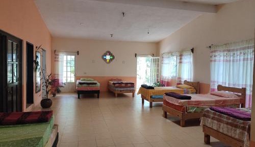 Single Bed in Mixed Dormitory Room