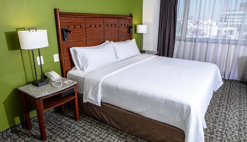 Premium King Room