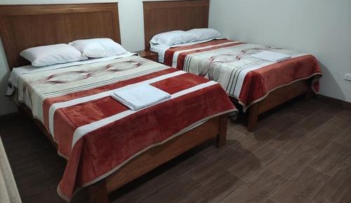 Bed in 4-Bed Dormitory Room