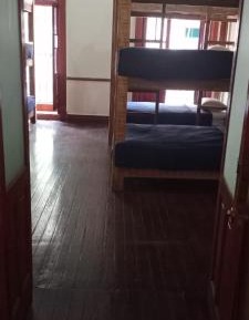 Single Bed in Mixed Dormitory Room