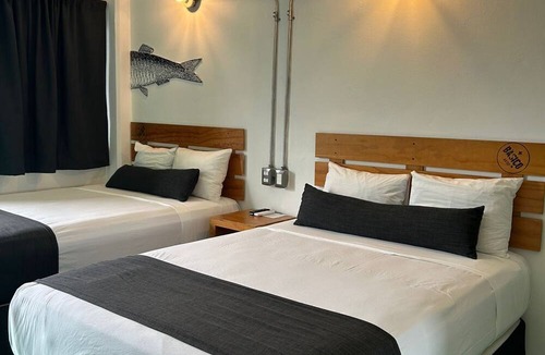 Veracruz Hotel | Mas Basico Hotel