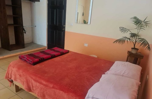 Xico Hotel | Jardin de los Anturios, Xico