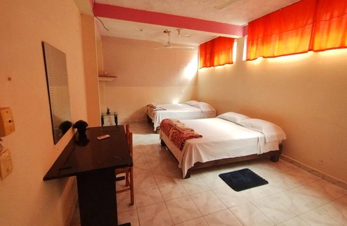 Poza Rica House | Encasa - Palm 206 House