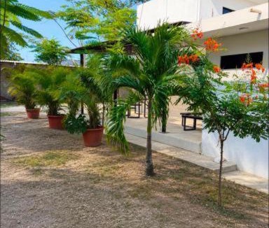 Tuxpan Apartment | Villas La Vista