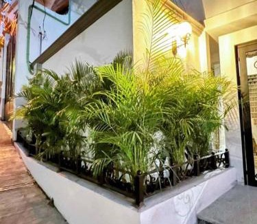 Alta Vista Apartment | Luxury Studio 203 in Zona Romantica