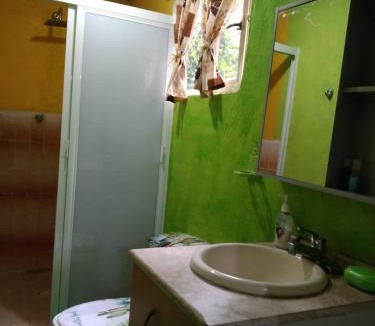 Coyoacan House | Casa Lulú