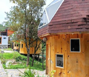 San Jose del Pacifico House | Hongos mágicos